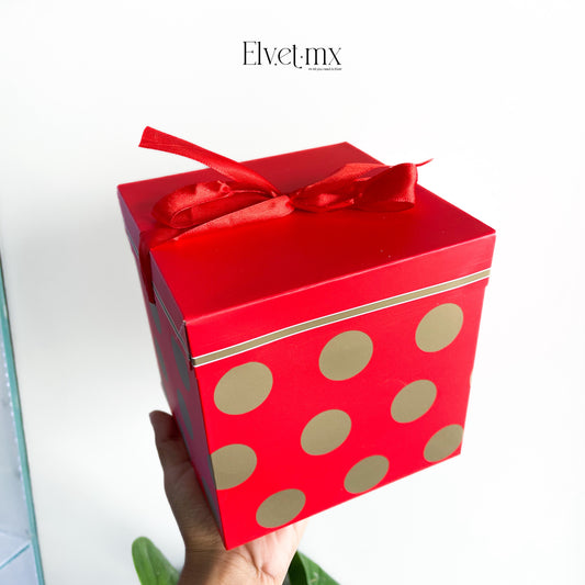 Caja de regalo pequeña navidad